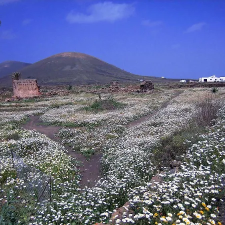 Casa de Férias Castillo Lanzarote Winni - Luxury - Pet Friendly With Heated Pool *